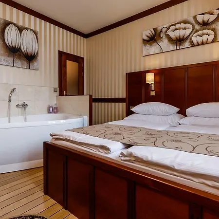 Hotel Alfred Karlovy Vary